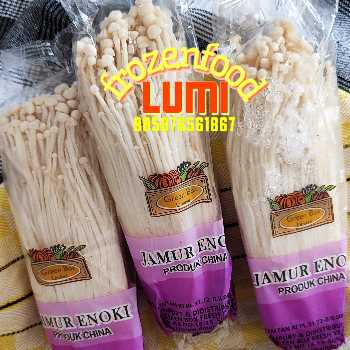 Jamur Enoki