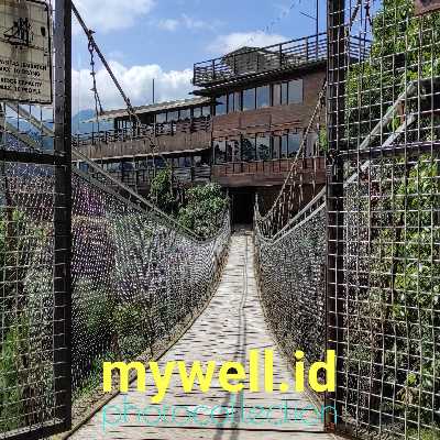 Sup Tom Yum adalah makanan berkuah pedas asal Thailand yang terbuat dari bumbu rempah dan daging atau seafood. Anda dapat menambahkan Hot Spicy Wing frozen food sebagai tambahan daging dalam sup Tom Yum Anda. Beri variasi resepnya dan bahan yang digunakan