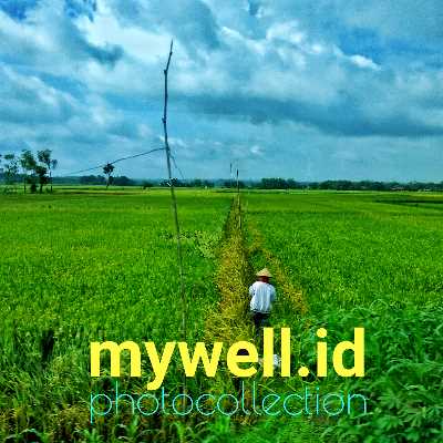 Berikut, kandungan gizi dalam sosis frozen food yang ada di pasaran dapat berbeda-beda tergantung dari merek dan jenis sosis yang dijual. Namun secara umum, sosis frozen food biasanya mengandung nutrisi seperti protein, lemak, karbohidrat, kalori, dan berbagai vitamin dan mineral.