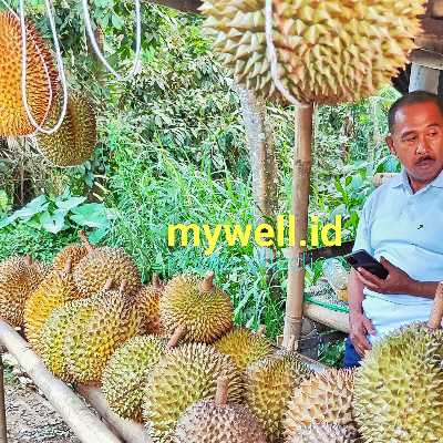 Selalu Rutin dan Rajin Buat Program Promosi Biaya promosi itu mahal, apalagi jualannya hanya makanan dan minuman. Jual .....
https://www.mywell.id/Selalu-Rutin-dan-Rajin-Buat-Program-Promosi