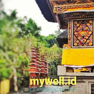 terbiasa tambahkan susu, krim, atau gula ke dalam secangkir kopi, akibatnya berat badan bertambah. Kenapa bisa begitu?☕☕☕ https://www.mywell.id/Efek-Samping-Banyak-Minum-Kopi