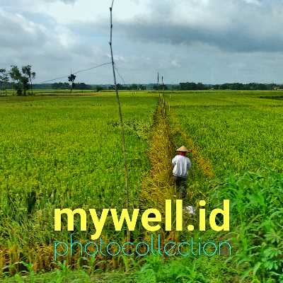 pemasaran bisnis makanan dan minuman itu sangatlah penting, apalagi di jaman sekarang yang lebih banyak orang dibatasi berpergian. Buka warung saja tidaklah cukup walau di pinggir jalan....
https://www.google.com/search?q=mywell+id+Selalu+Rutin+dan+Rajin+Buat+Program+Promosi